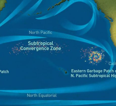 Image of the great pacific garbage patch