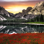 Image of Mountains at Sunrise with a poppy field overlooking a mountain lake